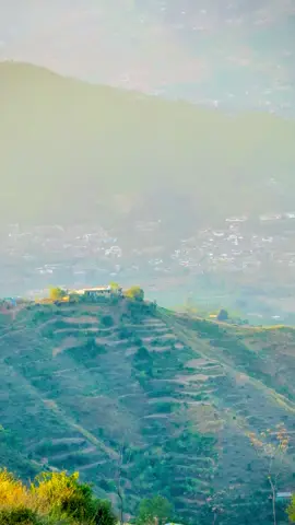 Da janan pa gham de poha na karo 🥀🦋🍂🌸🍁🌾🍃☘️#foryou #newtrend #viralvideo #foryoupage #trending 