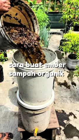 Tempat sampah oenghasil kompos dan pupuk organik #hanzgarden #berkebun #gardeningtips #DIY 