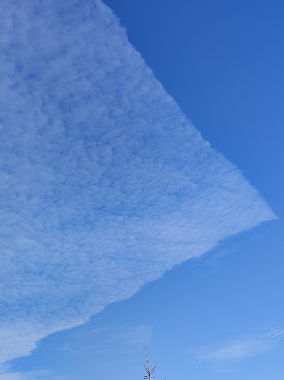 1.11.2025, Zamość, Lubelskie Pierwszy raz coś takiego widzę👀