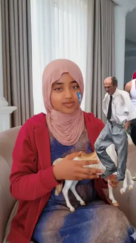 #Meme #MemeCut #CapCut 