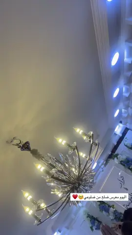 حبيب روحي شايف كل الخير ان شاء الله 🤍