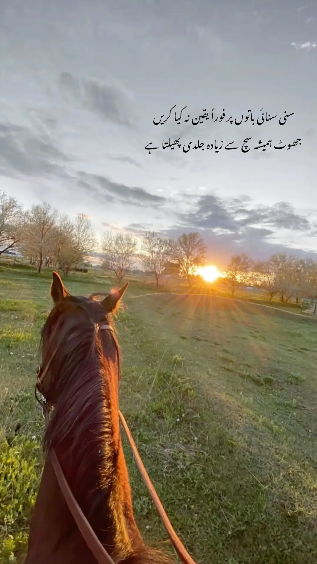 #fyp ...🤌🏻🥀...#fypviralシ 