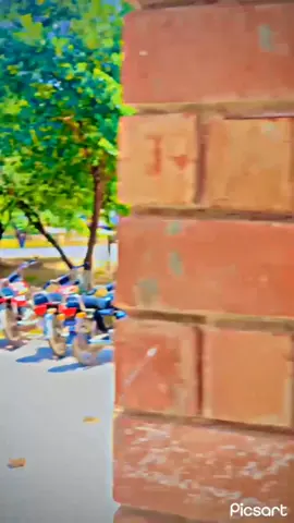 @Muhammad Kamran #foryou #viral #Dani 