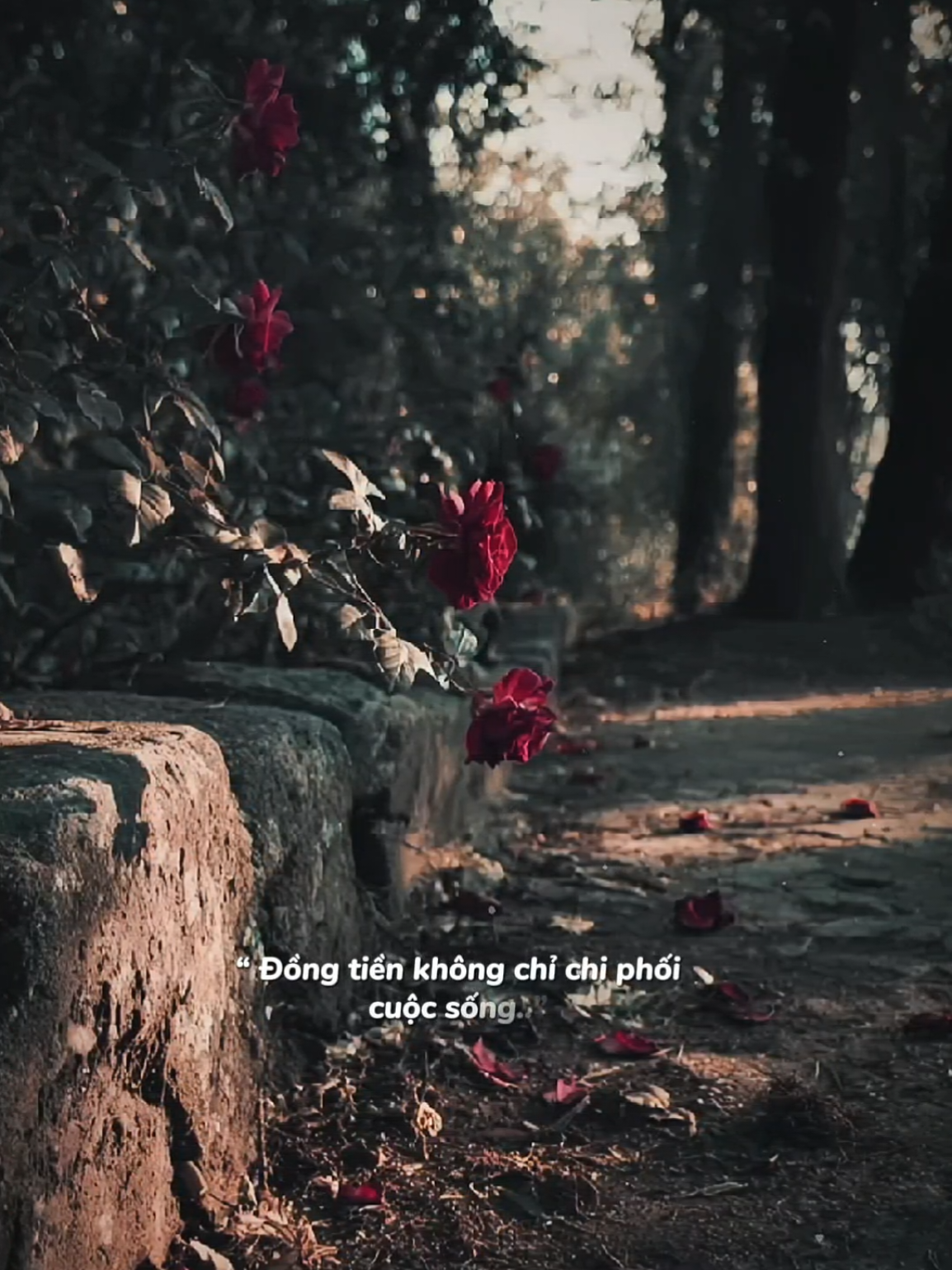 Khi bạn không có tiền ” Ngay cả những người thân thiết nhất cũng có thể thay đổi..” #nhachaymoingay #podcast 