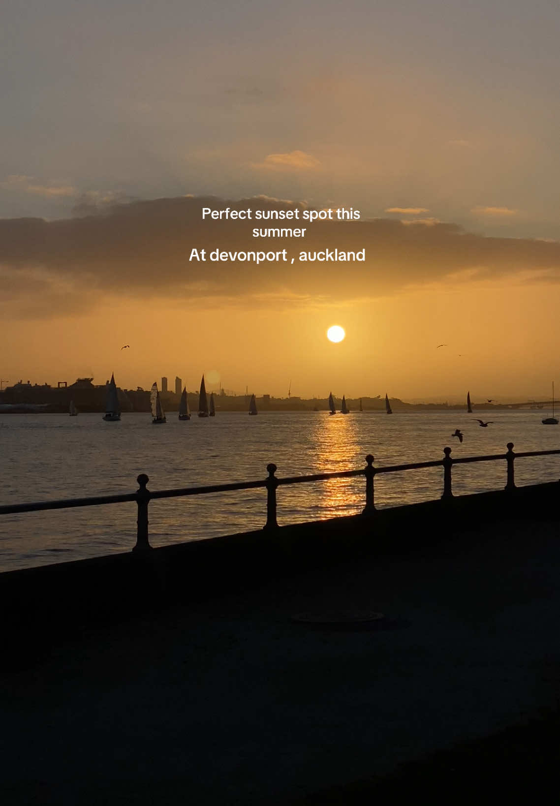 Summer time with the perfect sunset spot at Devonport 🌅 #auckland #devonport #aesthetic #sunset #fyp 