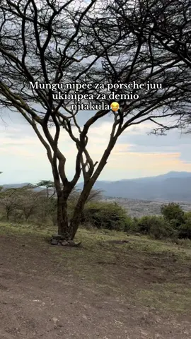 Starting at the top😂