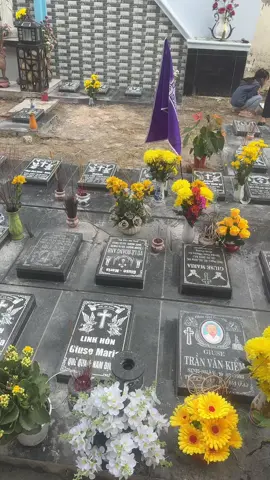 2/11/2025 #conggiaoyeuthuong #conggiaovietnam @maria THOa 