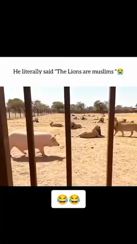 tiktok team don't under review my video #fyp #1millionaudittion #foryoupage❤️❤️ #viral_vedio#fyp #1millionaudittion #foryoupage❤️❤️ #viral_vedio#fyp #1millionaudittion #foryoupage❤️❤️ #viral_vedio#fyp #1millionaudittion #foryoupage❤️❤️ #viral_vedio#fyp #1millionaudittion #foryoupage❤️❤️ #viral_vedio#fyp #1millionaudittion #foryoupage❤️❤️ #viral_vedio#fyp #1millionaudittion #foryoupage❤️❤️ #viral_vedio#fyp #1millionaudittion #foryoupage❤️❤️ #viral_vedio#fyp #1millionaudittion #foryoupage❤️❤️ #viral_vedio#fyp #1millionaudittion #foryoupage❤️❤️ #viral_vedio#fyp #1millionaudittion #foryoupage❤️❤️ #viral_vedio#fyp #1millionaudittion #foryoupage❤️❤️ #viral_vedio