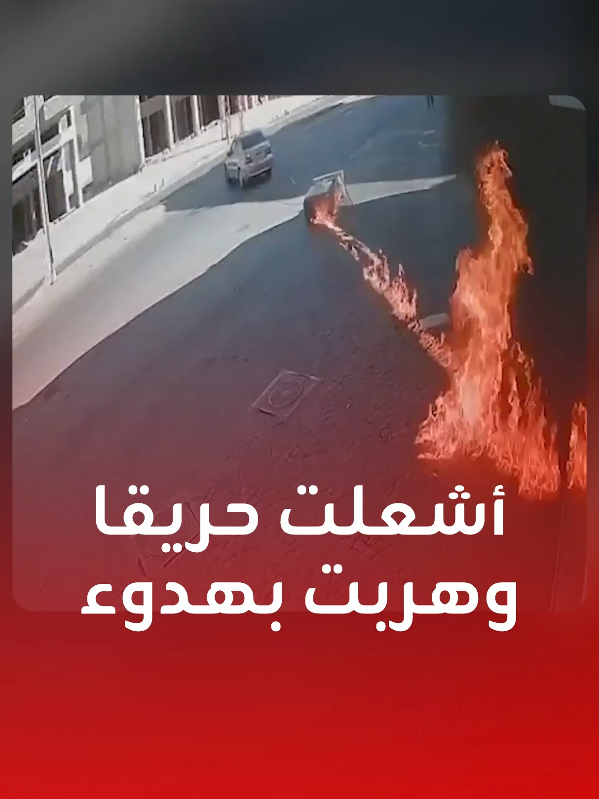 شاهد| سيدة لبنانية 