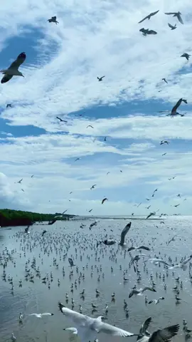 หิวก็กิน ง่วงก็นอน เหนื่อยก็พัก #บางปูสมุทรปราการ #สถานตากอากาศบางปู #ที่นี่สมุทรปราการ💕 #สมุทรปราการ #เที่ยวคนเดียว #fyp 