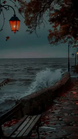 فـ يارب أرح قلبي بما أنت به أعلم ❤🤲🏻🌹