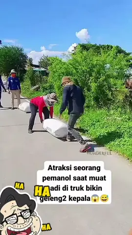 ahli usung2 🤣🤣🤣 #MemeCut #CreatorHouseID #TikTokCreatorSearchInsightsIncentive #CapCut #EkspresikanDenganCapCut 