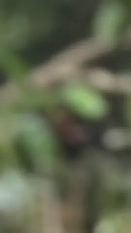 තෙරෙයි කල් යයි 😮‍💨🤝#ypfッ #kurunegala_squad🔰 #yyyyyyyyyyyyyyyyyy #respect #foryou #300k #viwes #viral #fyppppppppppppppppppppppp #like #me #cupcut 