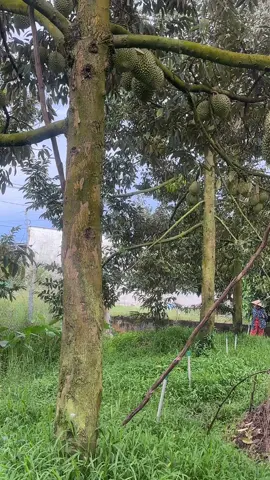 #xuhuongtiktok #đachot20tảni6#