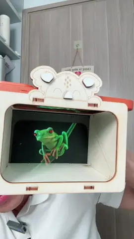 Hộp chiếu phim hologram 3d#giadinhbobapthui🥑 #xuhuongtiktok #dochoitreem 