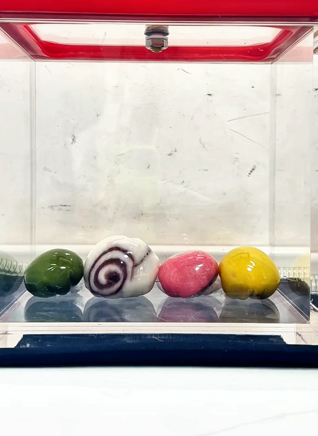 What happens when you put a vacuum in a qingtuan (a type of #Physics #PhysicsExperiment #vacuum #FunExperiment #VacuumScience 