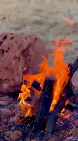 #بعلبكية_يا_خااااااال😉🧿👑 #foryou #fyppppppppppppppppppppppp #CapCut 