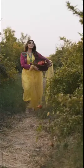 #هيلا_يا_رمانة #عامر_الخفش 