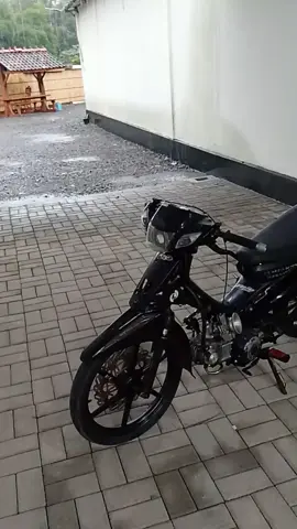 hanya?  #masukberanda #5tpmenolakpunah #vegalama #4u 