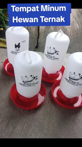#tempatminum #hewanternak #tempatminumantitumpah #cek 