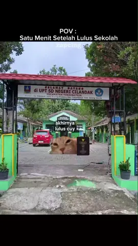 Sering Terjadi 🗿#meme #memekucing #kucinglucu #kucing #fyp