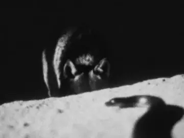 دا ليل بابا مشخصنها ف ال ببت...🔥🔥🤯 #edit #rap3arab #ابوالانوار #trend #fyp 