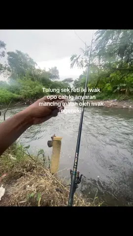 Inponehu #mmj #mancingmaniajogjakarta #fyp #foryou #xyzbca 