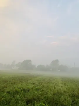 জীবনে অত্যাধিক আশা করাই , সমন্ত হাতাশার মূল কারণ 😅💔#vairal_video #Foryou 