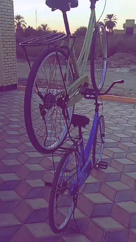 #لــــــــايك👍🏻💞 #طششونيي🔫🥺😹💞 #السماوه_مدينتي @@♯̶ حــســيــون 🍃🇬🇧 