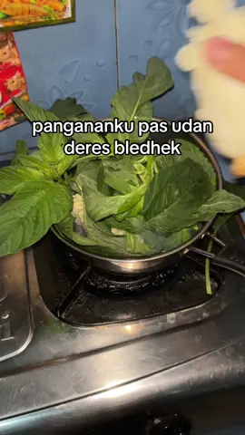 manasno cangkem #creatorsearchinsights #november #fyp #masukberandafyp #fyppppppppppppppppppppppp 