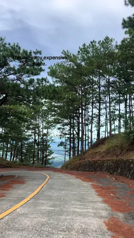 #foryoupage #fyp #nature 