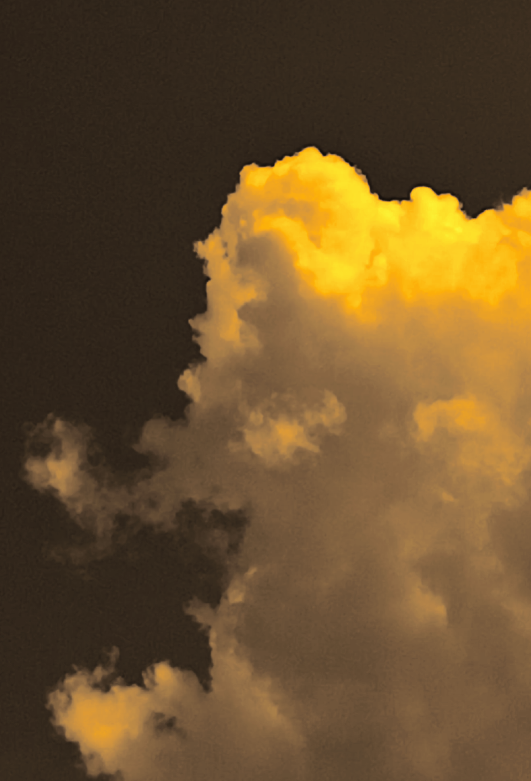 لقد كان في السابق أميني الأكثر جدية، لكنه الآن هو أميني الأكثر صدقًا. 