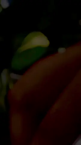 part-3#handmade #foryou #tiktokviral #viralvideo #কুষ্টিয়া 