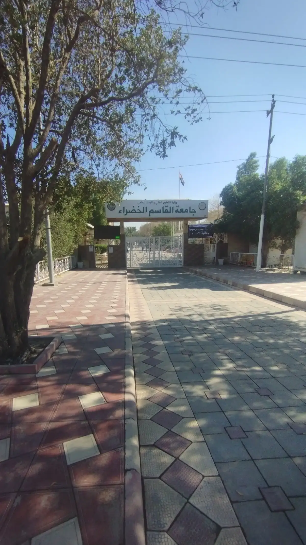 #جامعة_القاسم_الخضراء #قسم_علوم_اغذية #العراق🇮🇶 #fypシ゚ 