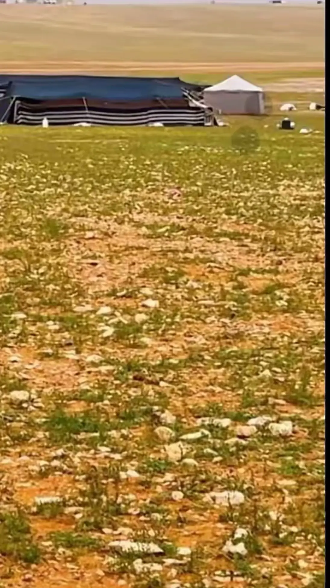 #الحدود_الشماليه_رفحاء #حايل #عرعر #لينه #اكسبلوررررررررر 