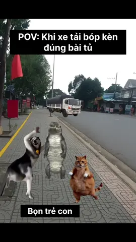 Khi xe tải bóp kèn đúng bài tủ #memes #memetiktok #tiktok #fyp #xuhuong 