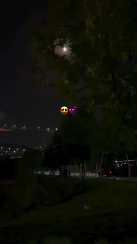 عشقك مشي ساهل🥺تروحي عليا نهبل🥺مايبقالي حتى مورال انتي الحب❤الأول جامي يتبدل😍نكملها رجلة وكابابل