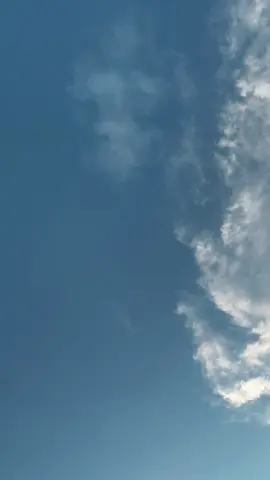 Tongkol e ws i ngejak tawor 🥱 #nelayanminisarang #nelayanjuwanapati⚓ #fypシ゚viral🖤tiktokberandafyptiktok #setoriwahatsap #masukberandafyp 