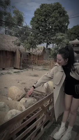 Ta về nhóm lửa, pha trà...