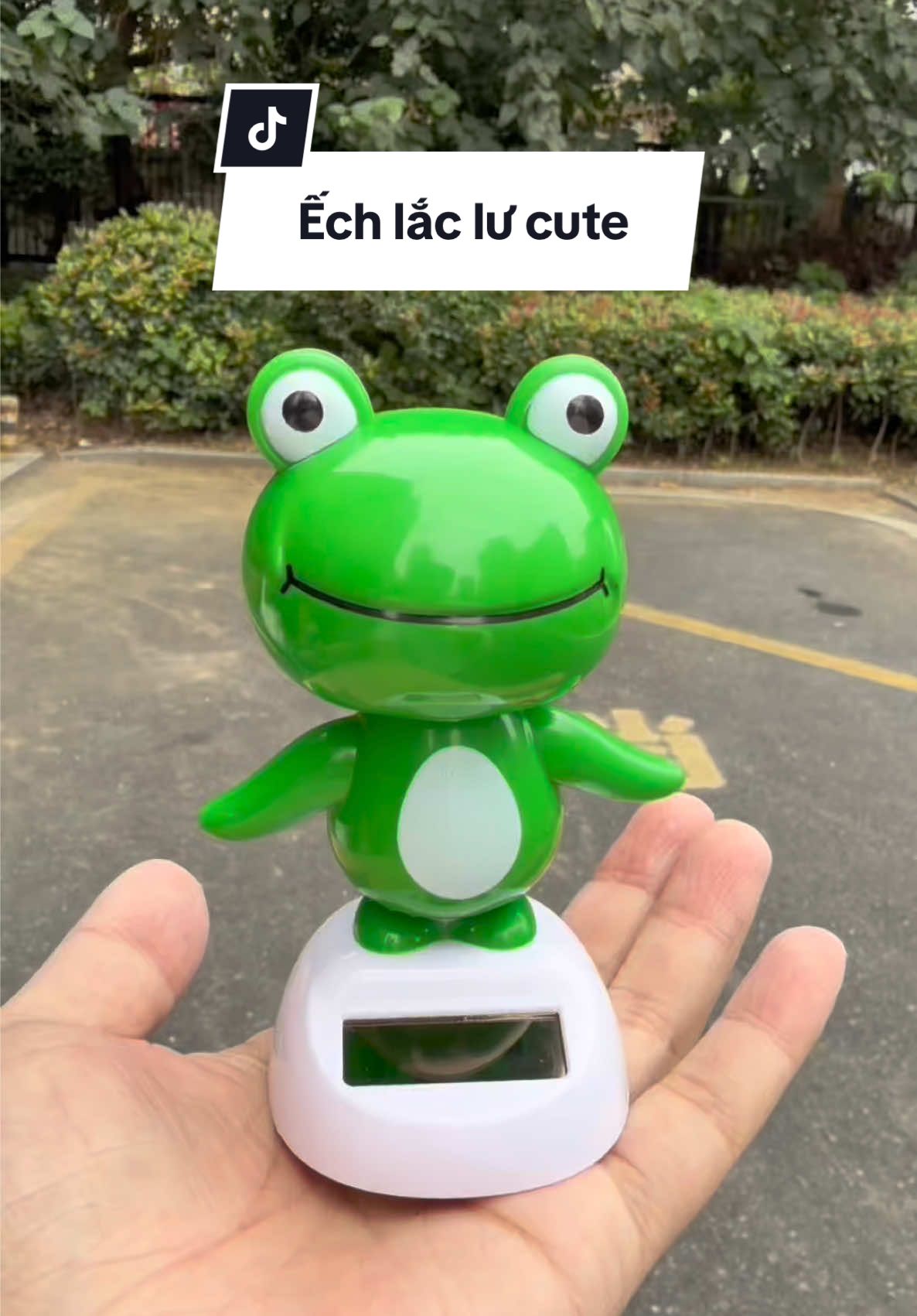 Nó vô tri mà nó cute 🐸 lắc lư #ếch #phukienxehoi #decor #decorsiuxinh 