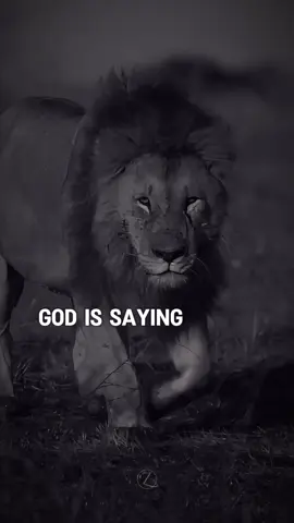 #trusttheprocess #werisetogether💫🌙 