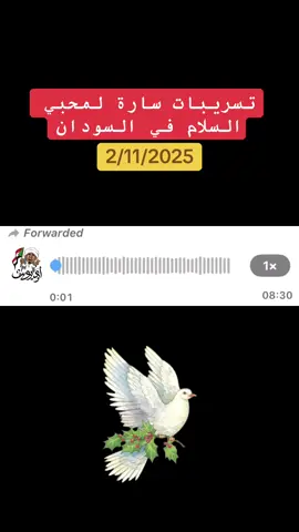 #جاهزيه_سرعه_حسم🔥✊🥀🇸🇩 #الشعب_الصيني_ماله_حل😂😂 #قوات_الدعم_السريع🇸🇩 #سودانيز_تيك_توك_مشاهير_السودان #السلام 