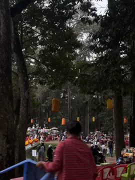 mùa lễ hội quê em