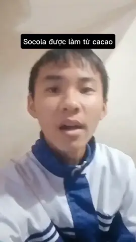 dô ca da đc làm từ cacau 