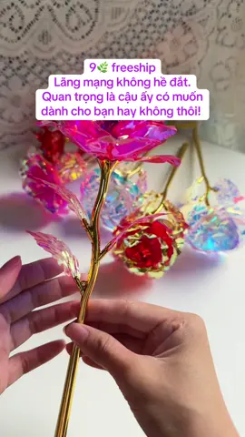 Giá hạt dẻ mà lung linh như hàng cao cấp, ai nhìn cũng khen “trời ơi đẹp quá! #hoaphale #quatang #gift #phale #xuhuong 