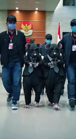 kata siapa tikus ga diringkus, apalagi kalo korupsi #sora #fyp #tikus #koruptor 