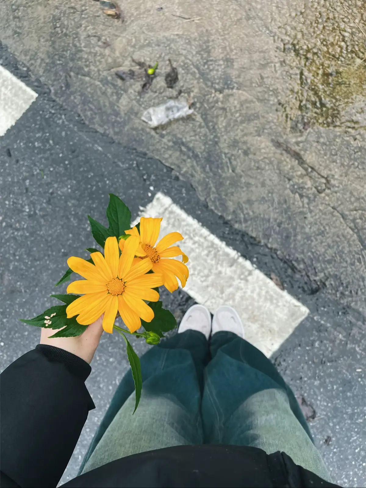 #bavi #sương #2025 