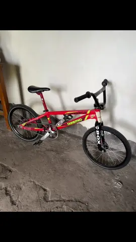 haii🙌🏼 #tabibithorascal #creatorinsightsearch #cinematic #fyppage #xyzbca 