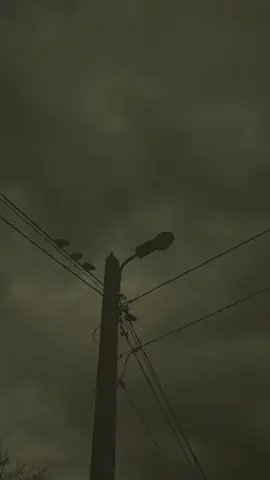 #CapCut #اكسبلورexplore #onthisday #hairstyle #fyp 