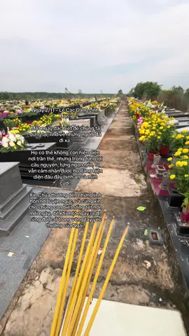 2/11 Lễ cầu cho các tín hữu đã qua đời🤍✝️🕊️#thang11 #2th11 #conggiao #caunguyen 